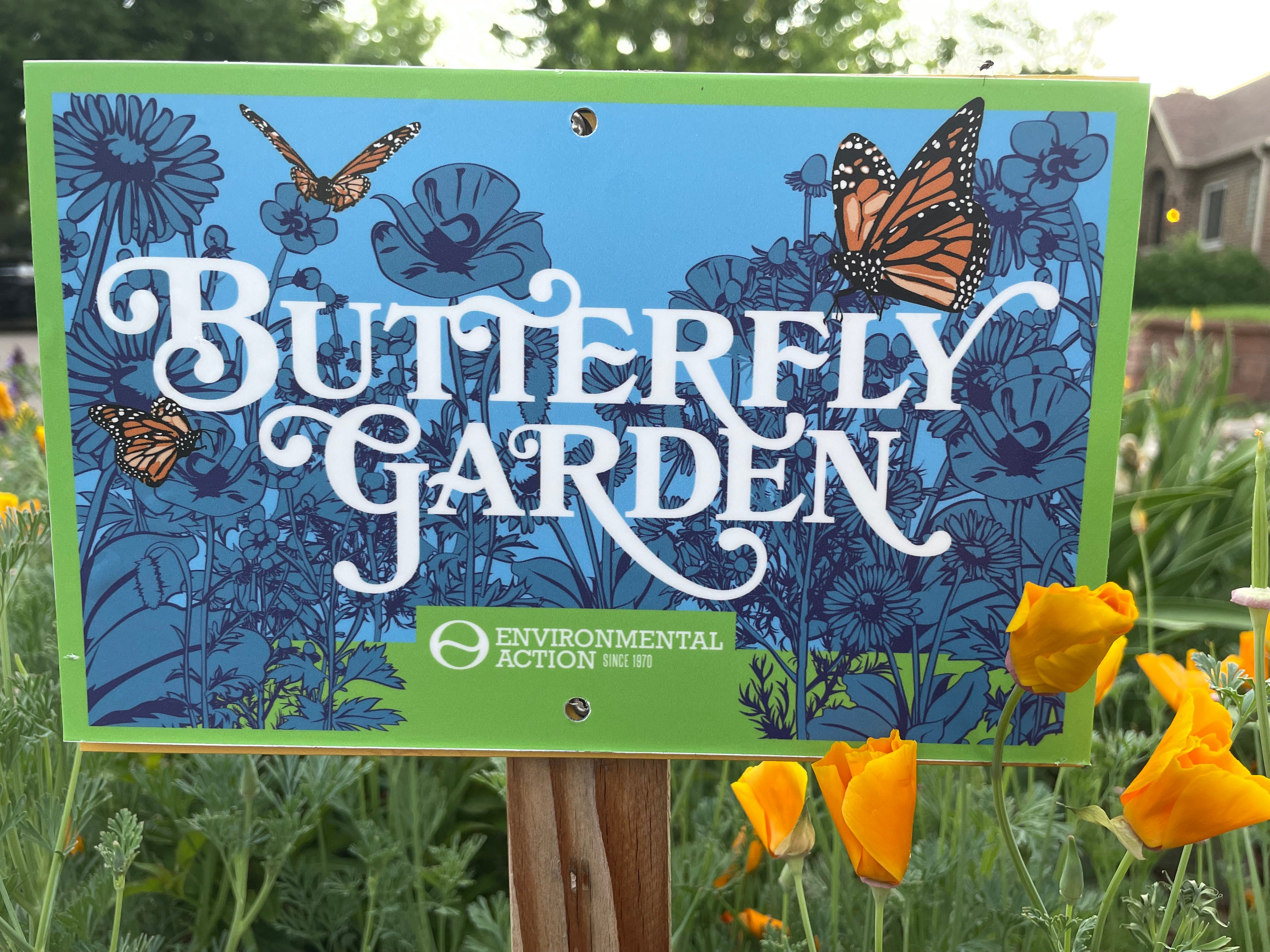 Shop　Kit　Environmental　Butterfly　Action　Garden　–
