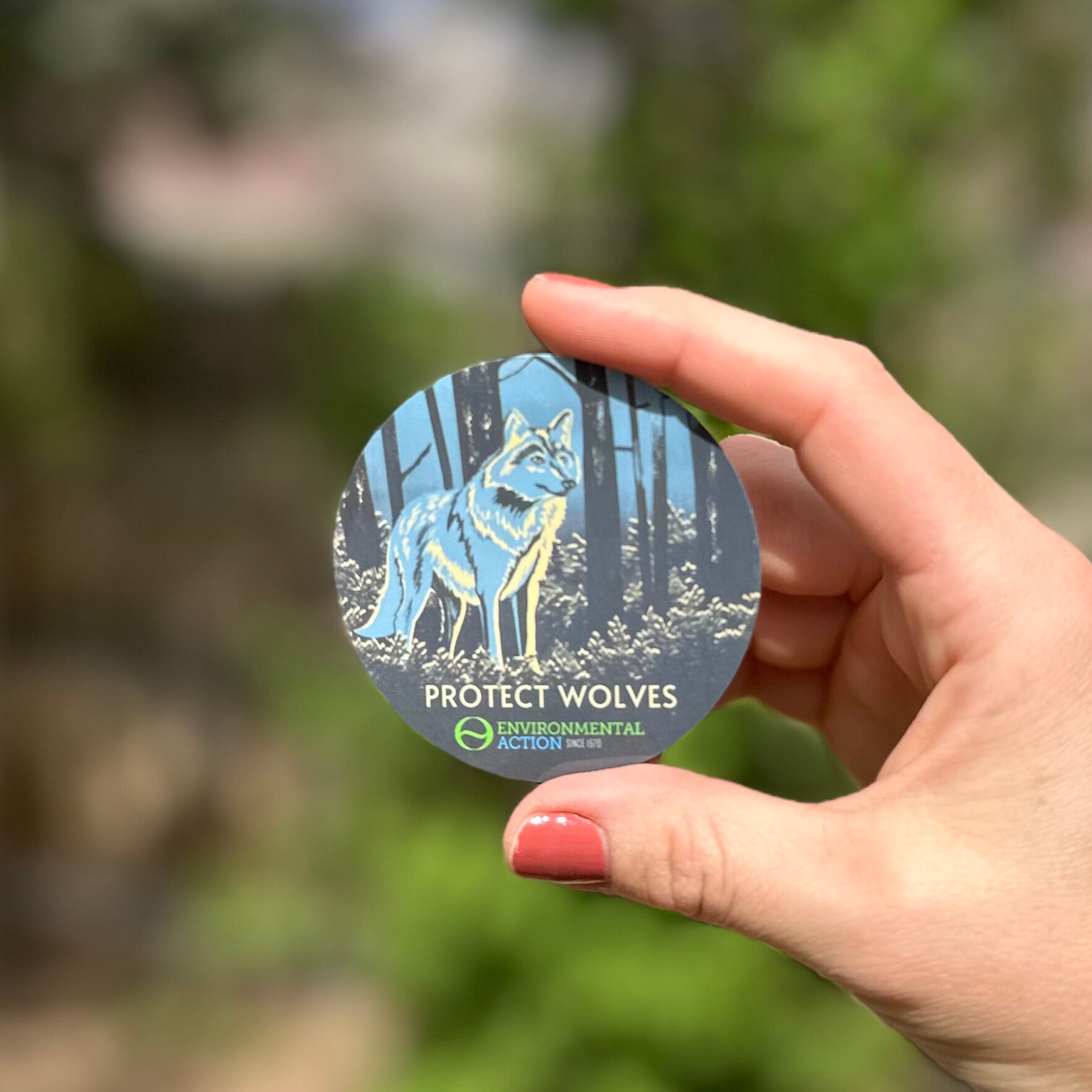 Protect Wolves Stickers (set of 3) – Environmental Action Shop