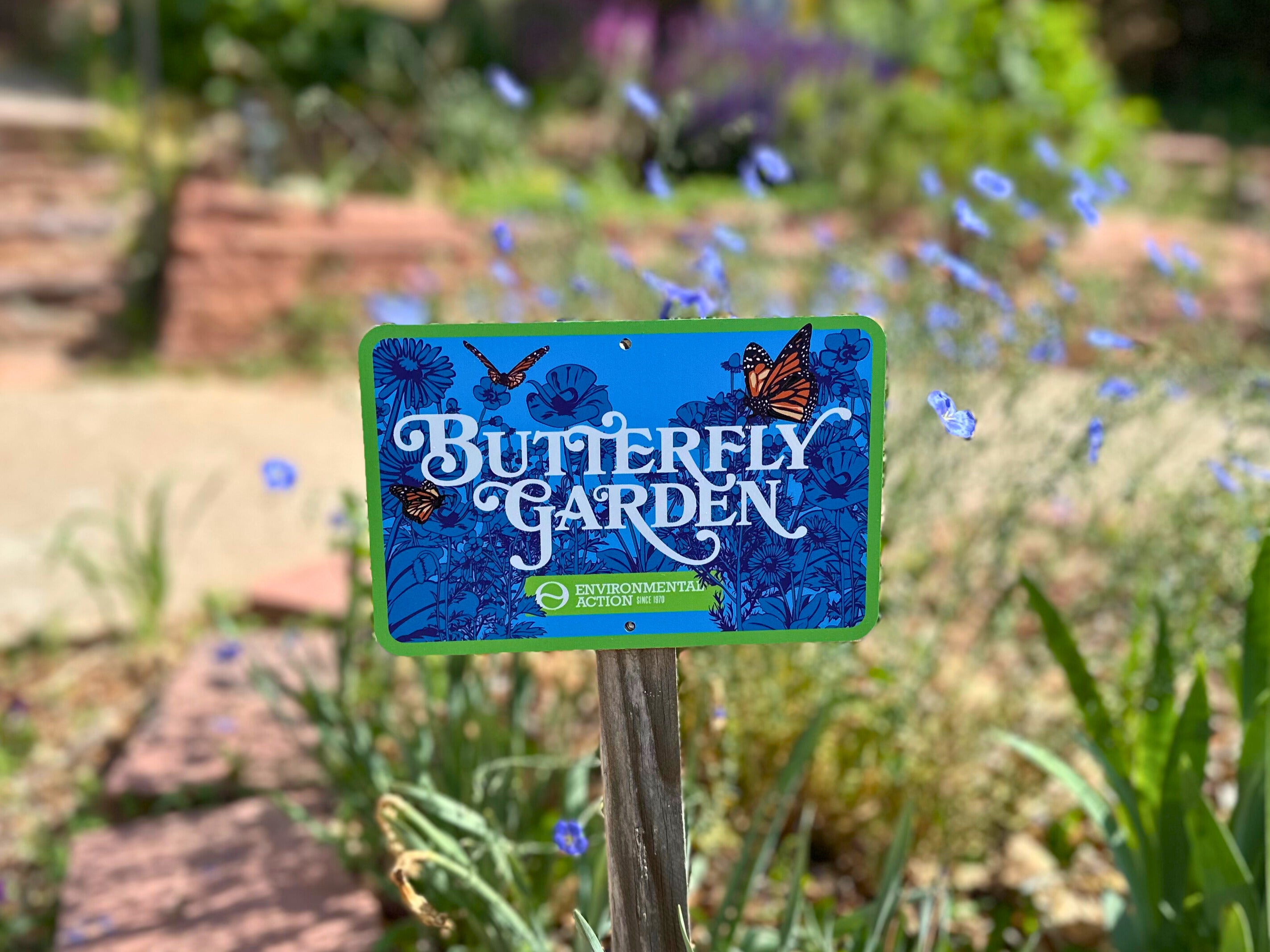 Butterfly Garden Kit
