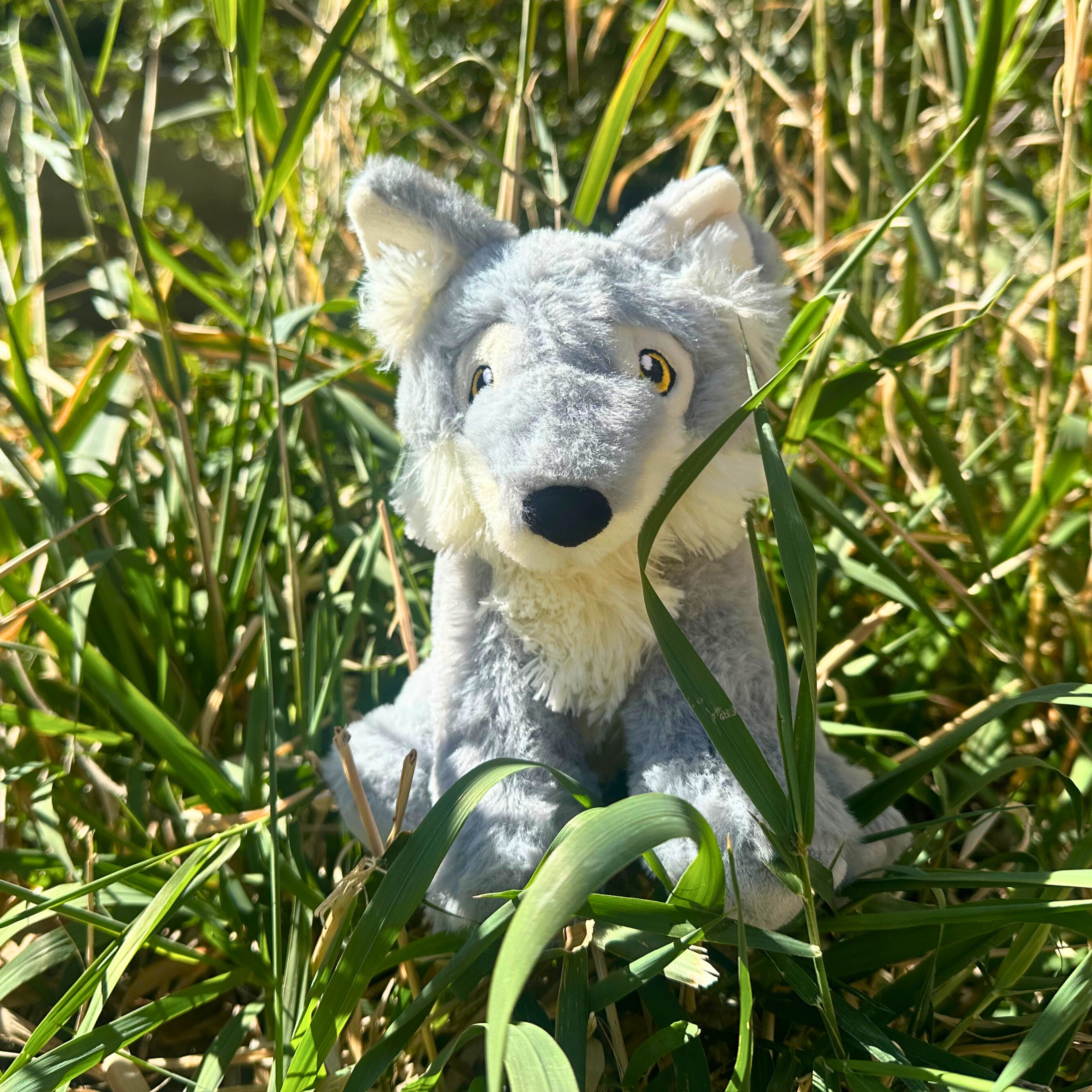 Protect Wolves stuffed animal