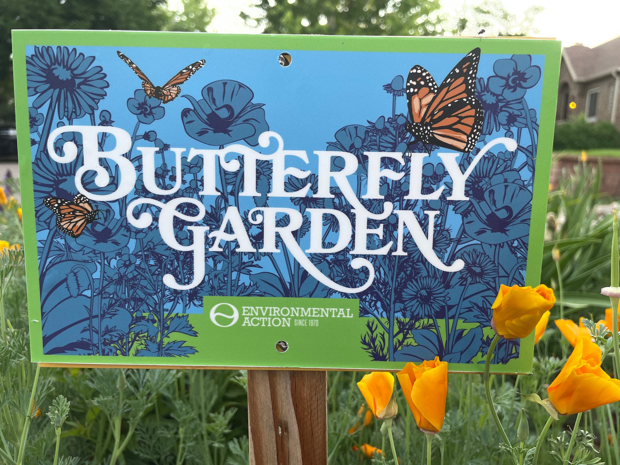 Perennial Butterfly Garden Kit